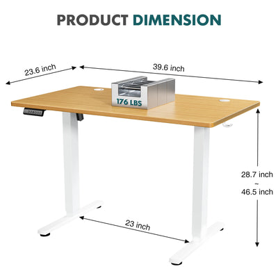 Electric Standing Desk, Height Adjustable 40x24 Inch, Ergonomic Workstation