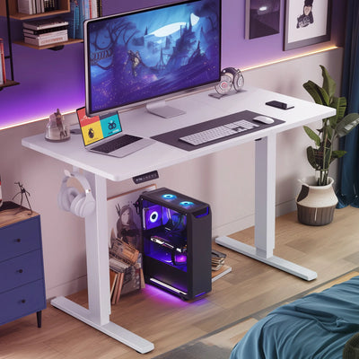 Electric Standing Desk, 63x24 Inch Height Adjustable, Ergonomic Office Workstation